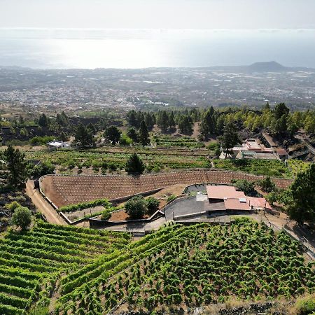 Finca Ecologica Ferrera. Alojamiento Rural. Arafo Extérieur photo